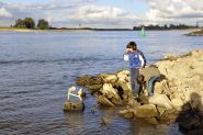 Laag water Nijmegen okt 2018