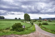 Onderweg naar de Bizonbaai