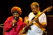 Cocoa Tea | LuxorLive Arnhem