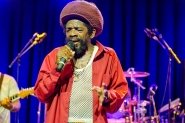Cocoa Tea | LuxorLive Arnhem
