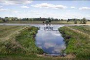 De Linge van Doornenburg naar Elst