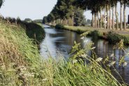 De Linge van Doornenburg naar Elst