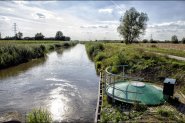 De Linge van Doornenburg naar Elst