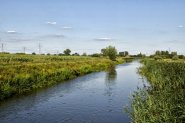 De Linge van Doornenburg naar Elst