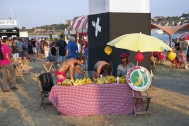 Festival op 't Eiland 2018