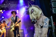 Festival op het eiland | Rectum Raiders