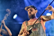 Festival op het eiland | The Wetnecks