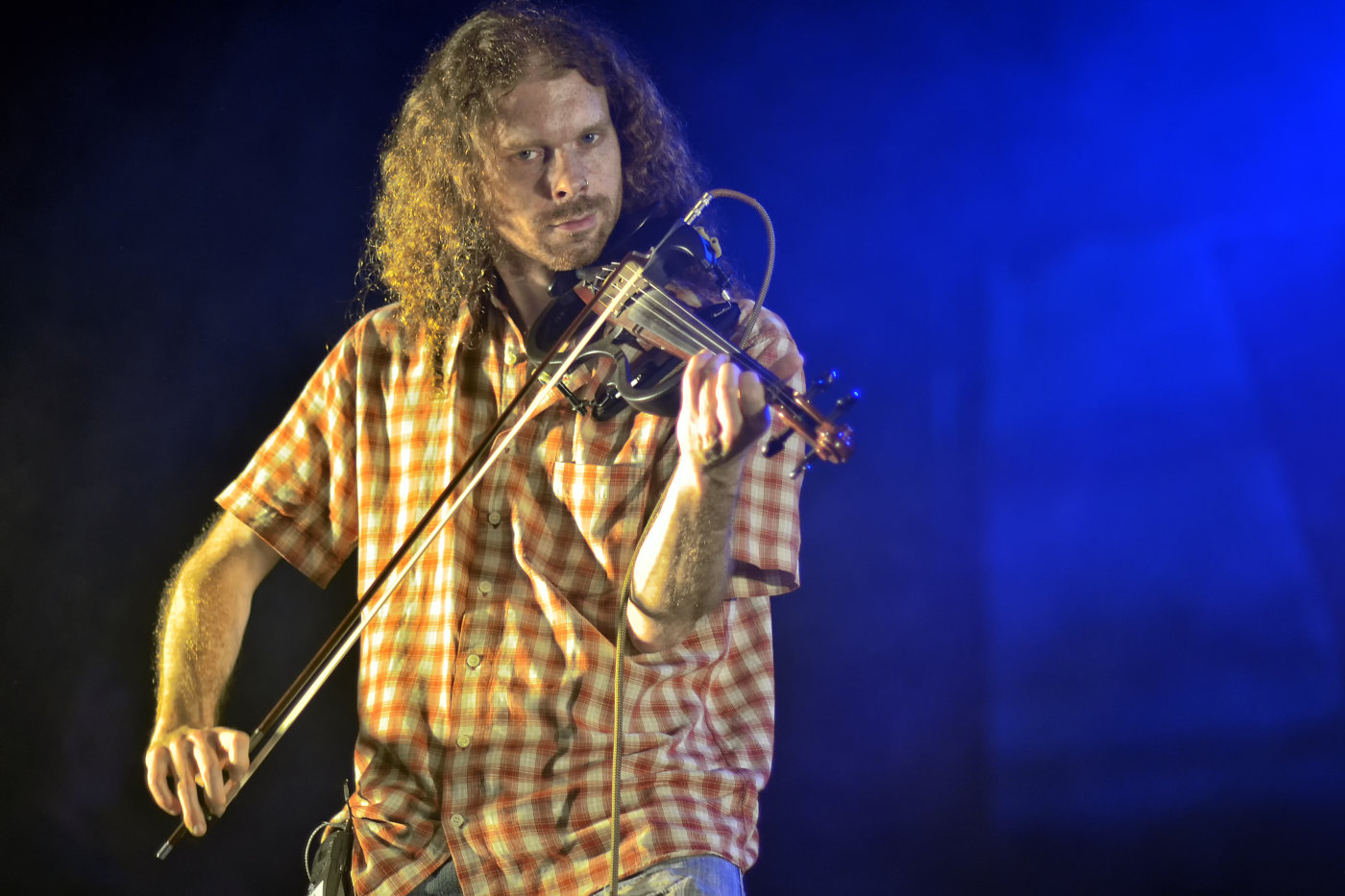 Festival op het eiland | The Wetnecks