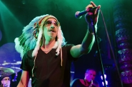 Concert fotografie 2015 | Gotcha!