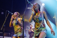 Concert fotografie 2015 | Seun Anikulapo Kuti & Egypt 80