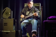 Concert fotografie 2015 | The Skatalites