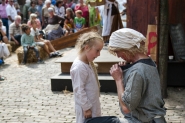 Gebroeders van Limburg Festival 2017 | foto © Henk Beenen