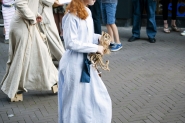 Gebroeders van Limburg Festival 2017