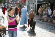 Gebroeders van Limburg Festival 2017