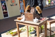 Gebroeders van Limburg Festival 2017
