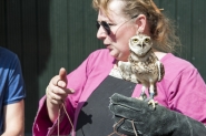Gebroeders van Limburg Festival 2017