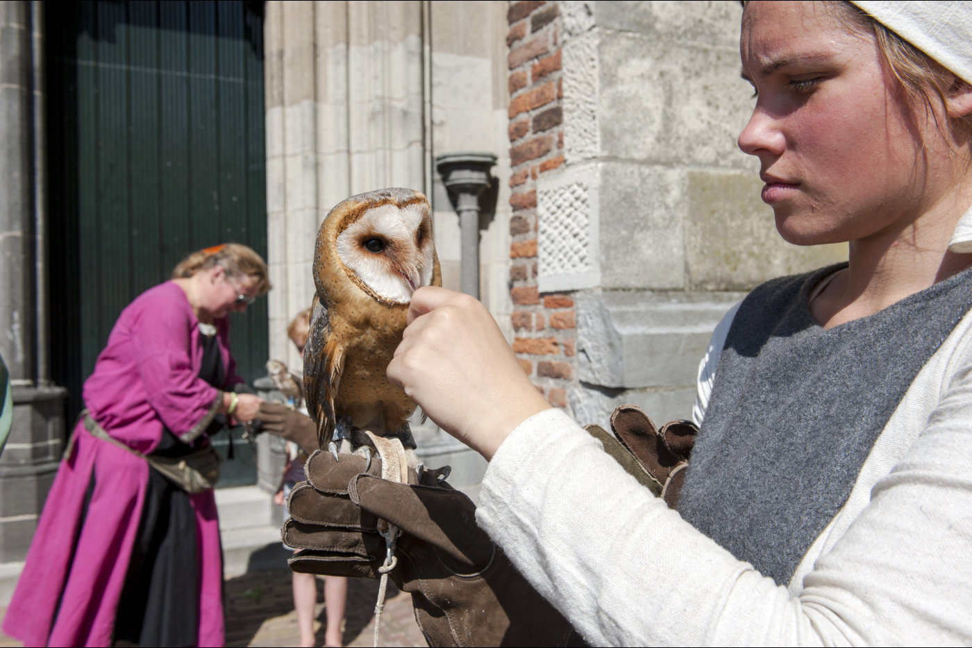 Gebroeders van Limburg Festival 2017