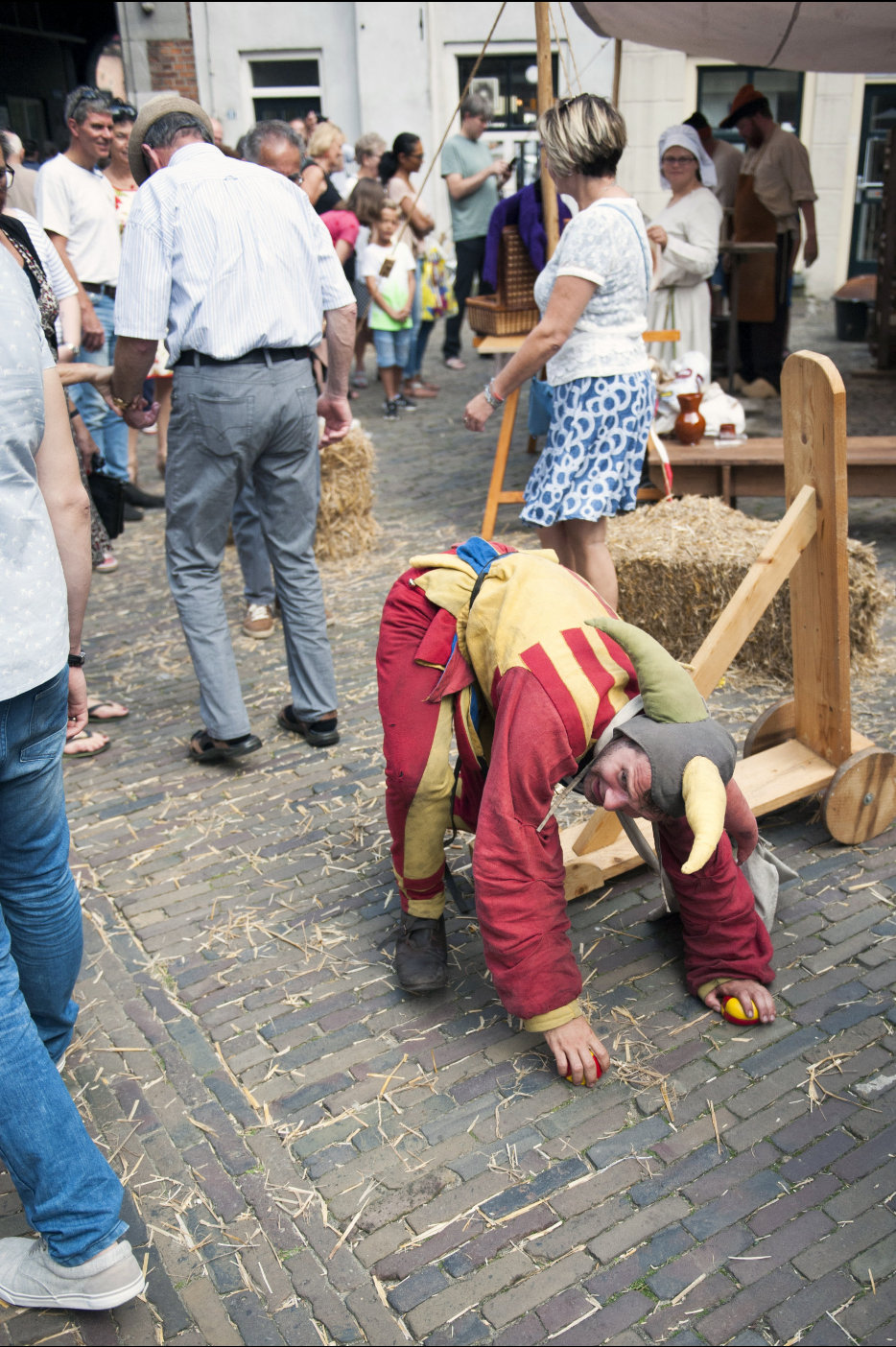 Gebroeders van Limburg Festival 2017