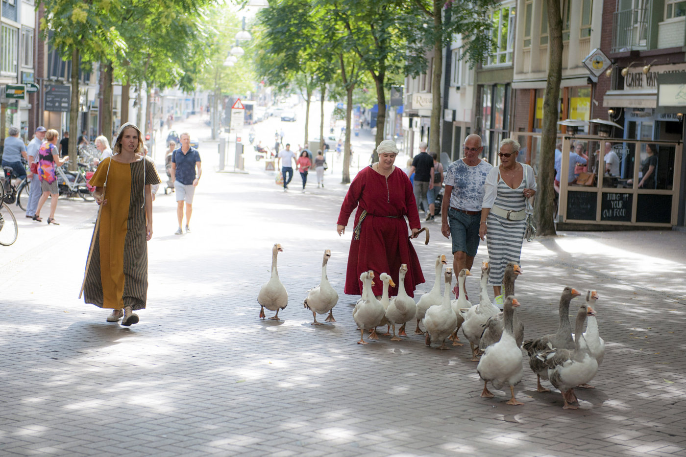 Gebroeders van Limburg Festival 2017