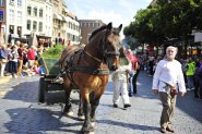 Gebroeders van Limburg Festival 2018