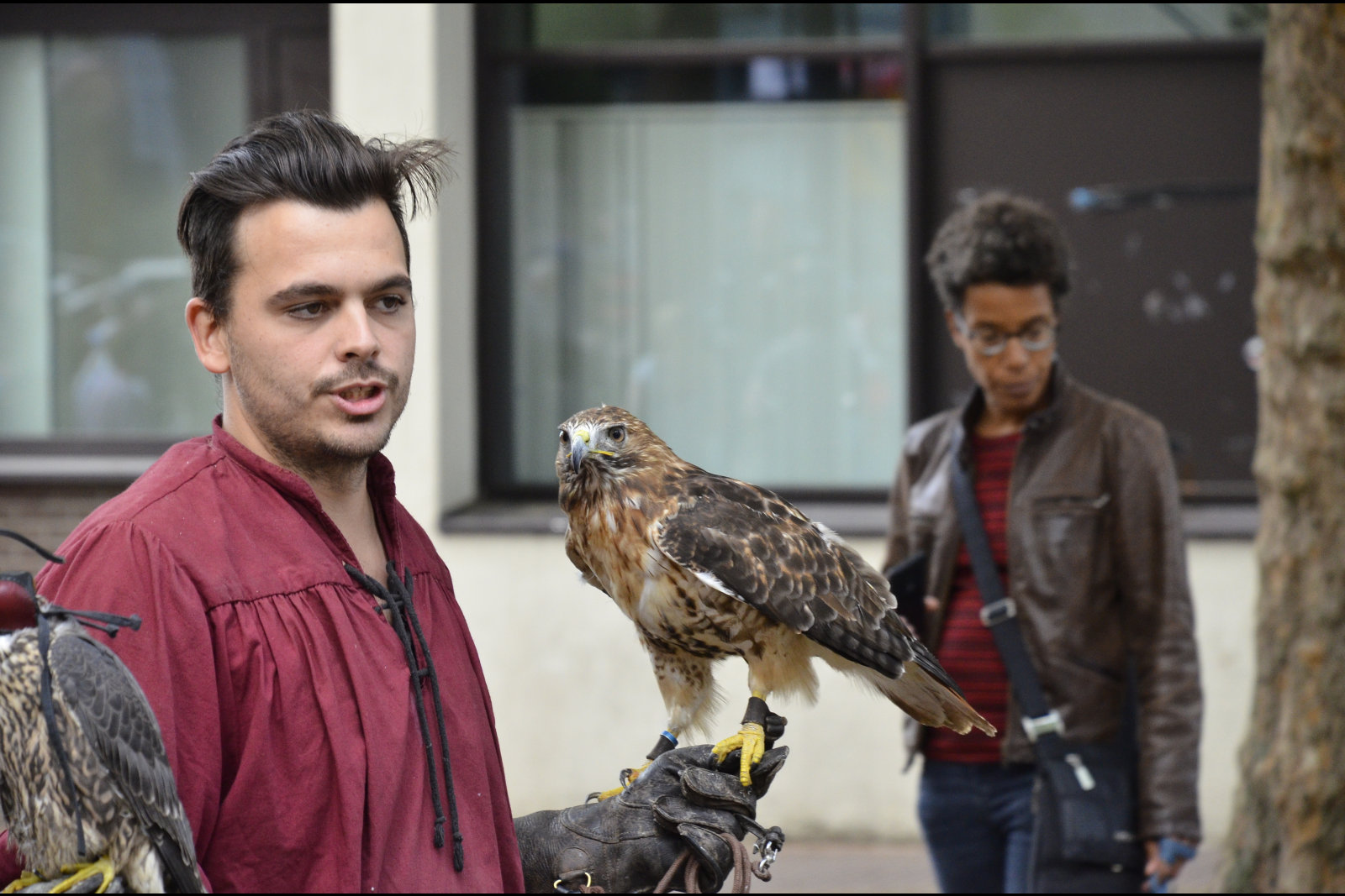 Gebroeders van Limburg Festival 2018
