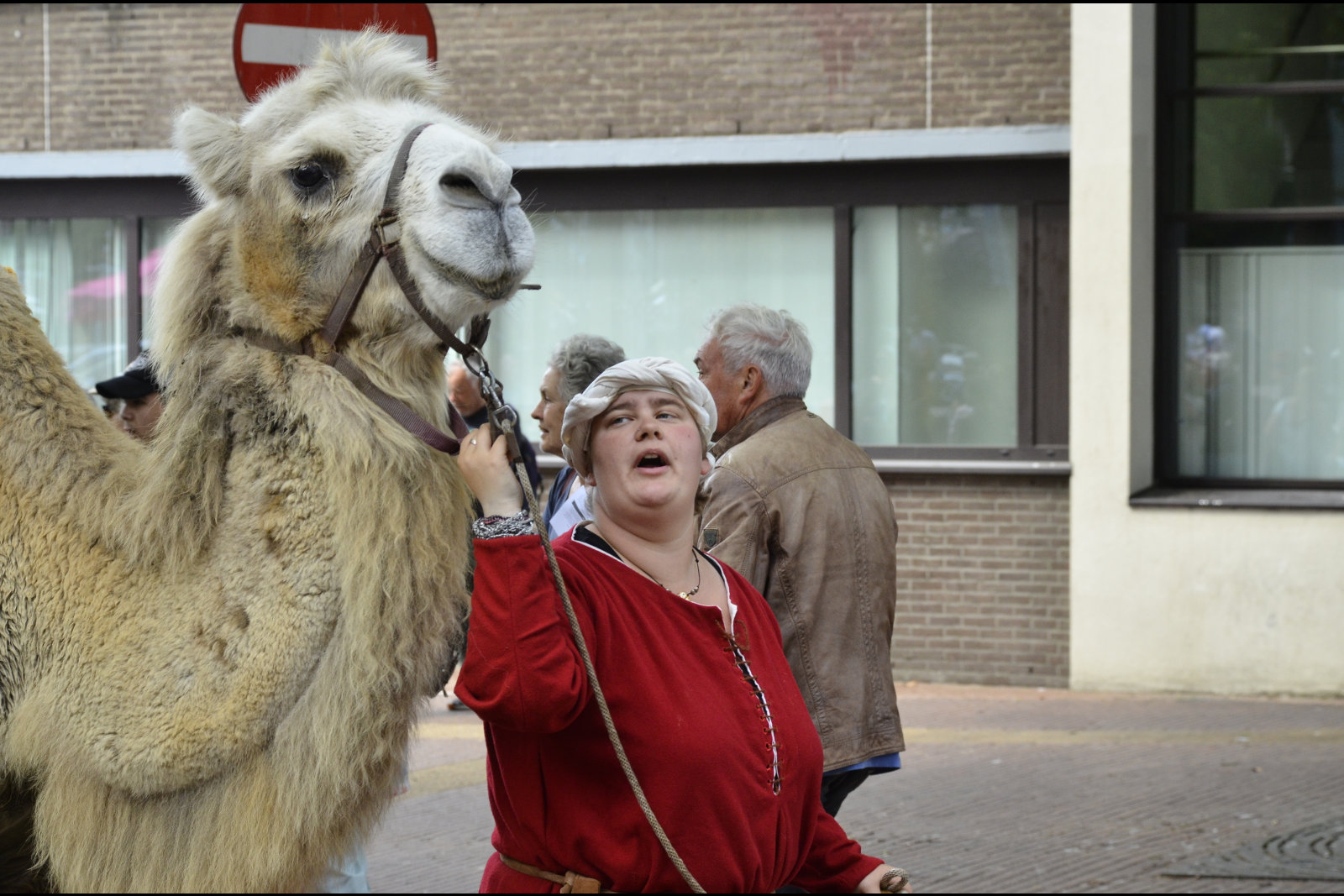 Gebroeders van Limburg Festival 2018