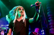 Gotcha! | LuxorLive Arnhem