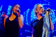 Gotcha! | LuxorLive Arnhem