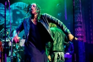 Gotcha! | LuxorLive Arnhem