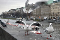 Hamburg | foto © Henk Beenen