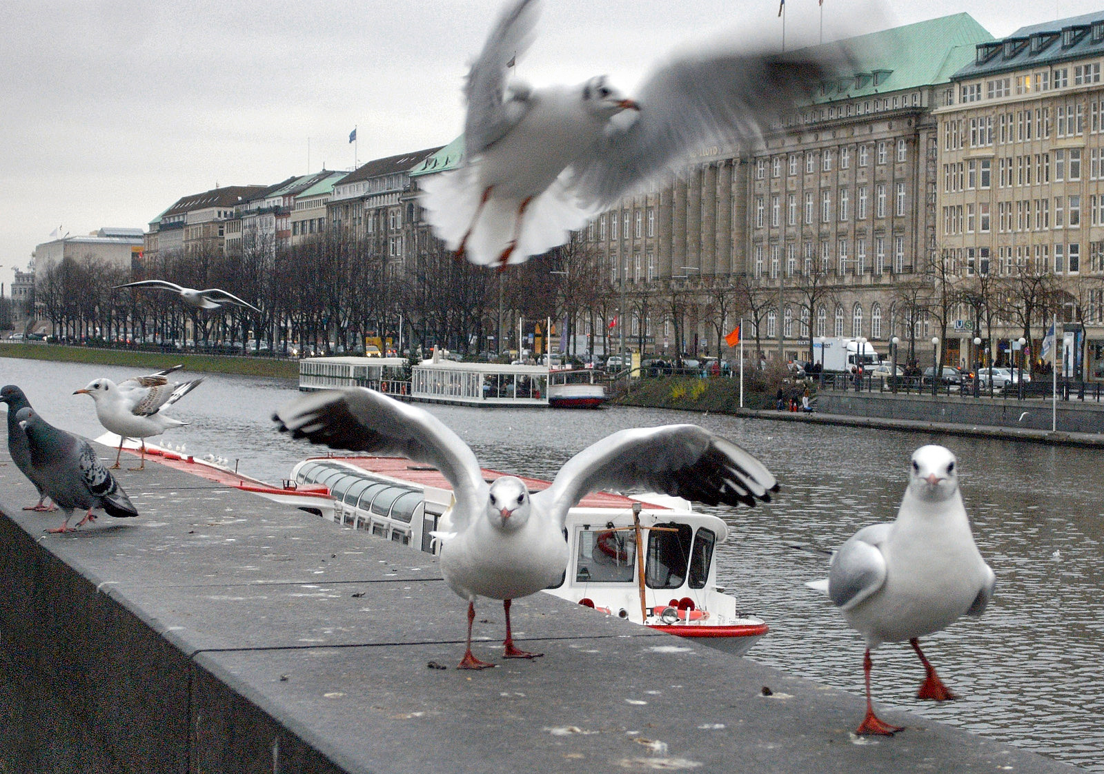 Hamburg | foto © Henk Beenen