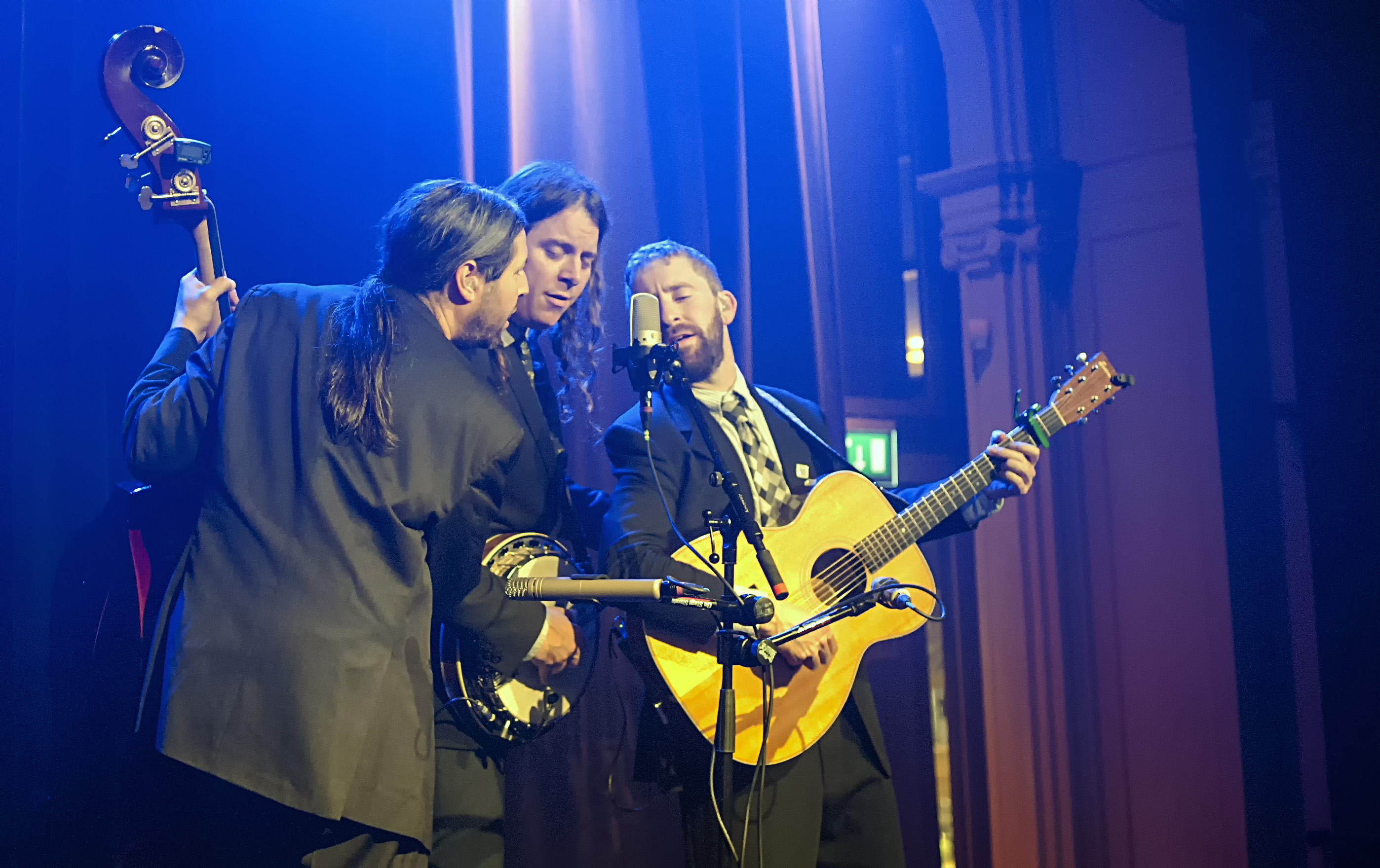 Henhouse Prowlers | LuxorLive Arnhem