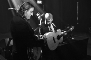 Henhouse Prowlers | LuxorLive Arnhem