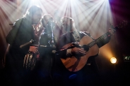 Henhouse Prowlers | LuxorLive Arnhem