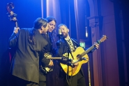 Henhouse Prowlers | LuxorLive Arnhem