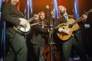 Henhouse Prowlers | LuxorLive Arnhem