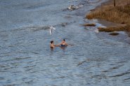 Hoog water Nijmegen 2021