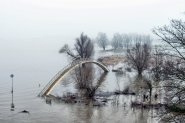 Hoog water Nijmegen 2021