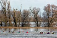 Hoog water Nijmegen 2021