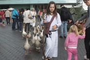 Gebroeders van Limburg Festival 2015