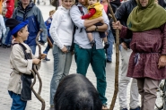 Gebroeders van Limburg Festival 2015