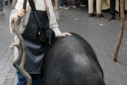 Gebroeders van Limburg Festival 2015