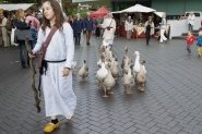 Gebroeders van Limburg Festival 2015