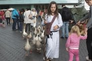 Gebroeders van Limburg Festival 2015