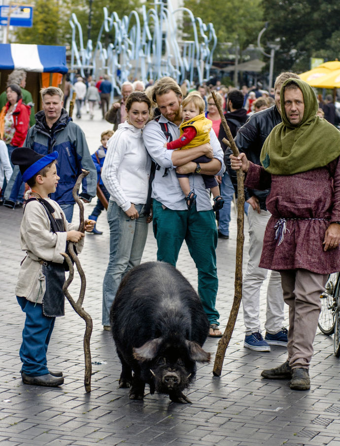 Gebroeders van Limburg Festival 2015