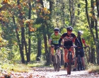 Mookerheide | foto © Henk Beenen