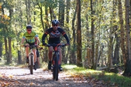 Mookerheide | foto © Henk Beenen