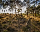 Mookerheide | foto © Henk Beenen
