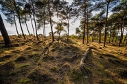 Mookerheide | foto © Henk Beenen