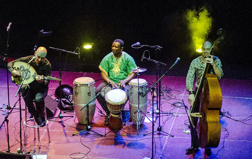 No Blues | Lux Nijmegen